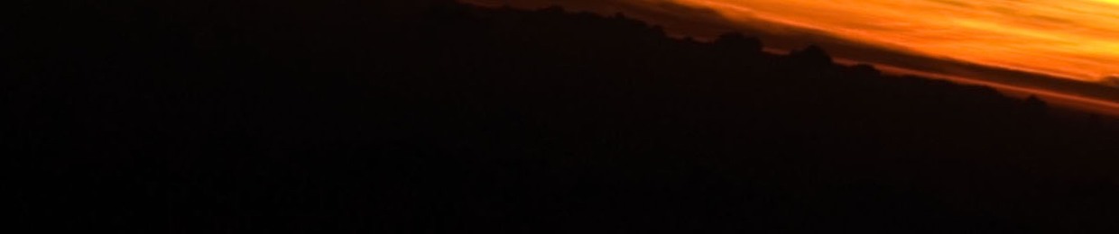 weneednothingsilence