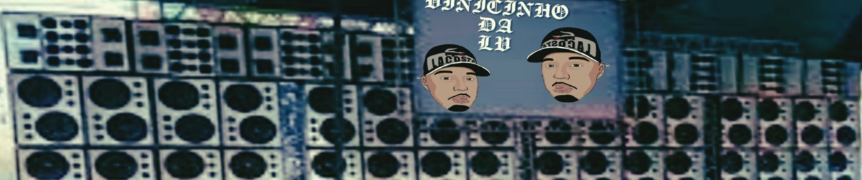 DJ VINICINHO DA LV SHEIK