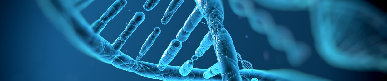 Felipe Gabriel Carvalho