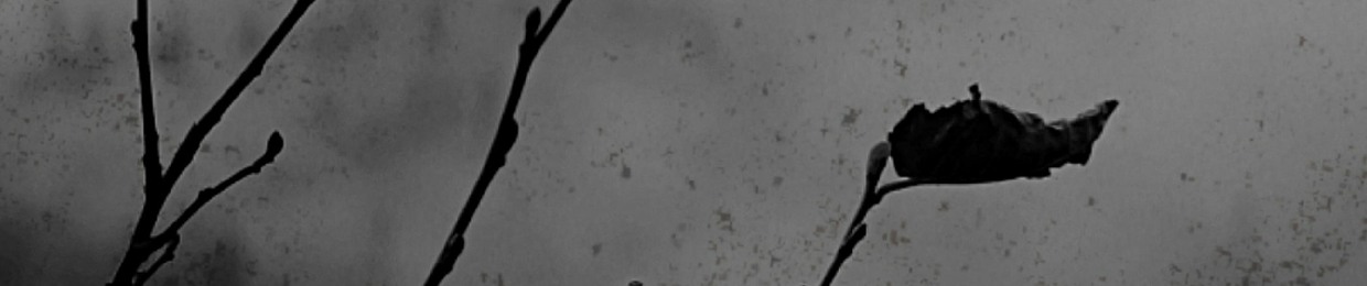 Terrestrial Expedition Agency