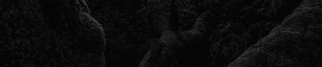 DarkForest