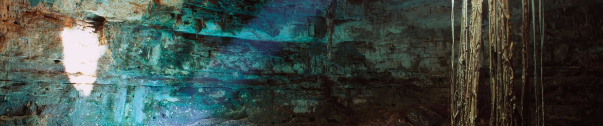 Book Fan (AKA Fangirl)