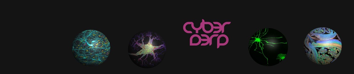 CYB3RD3RP