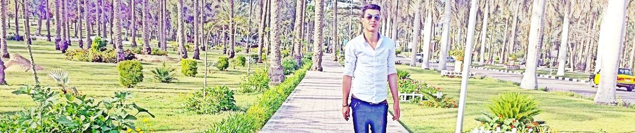 Almter Ahmed Toson