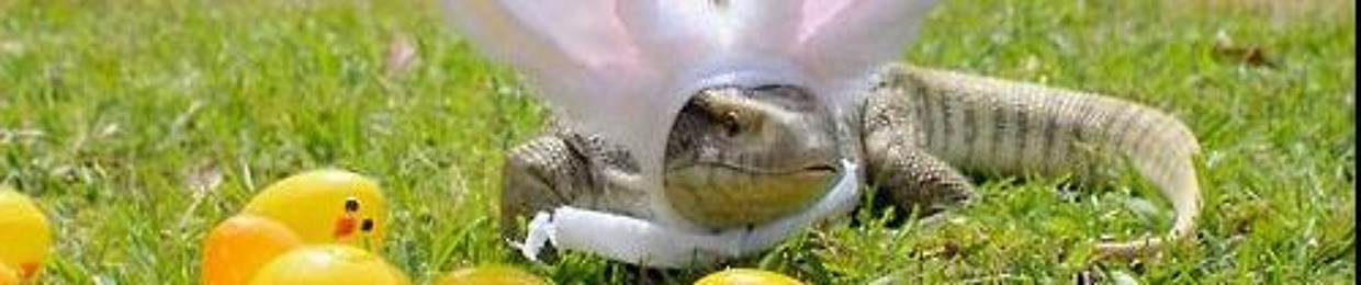 Inspector Reptile