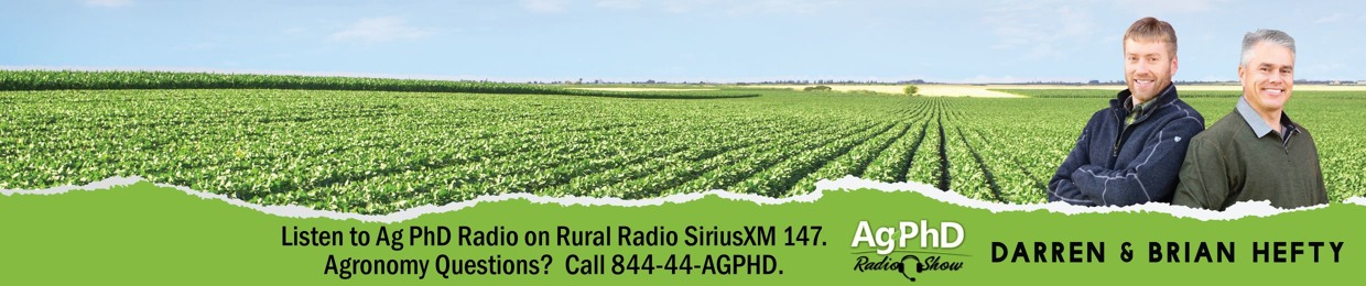 Ag PhD