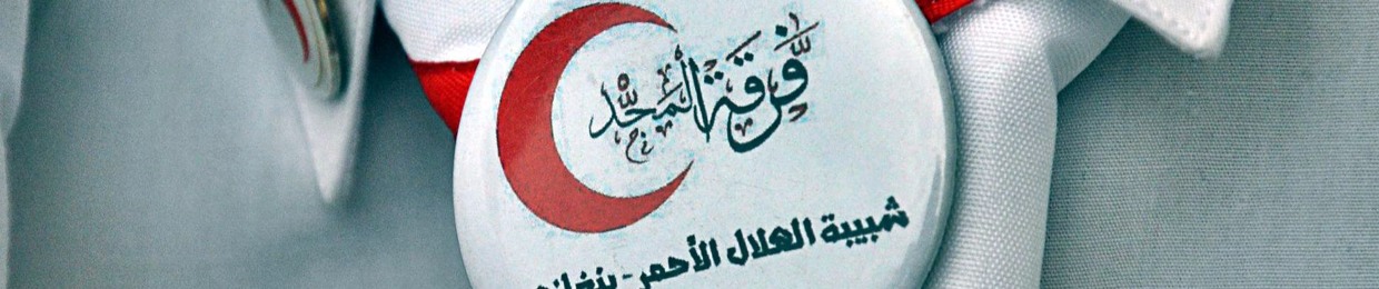 Mohammed Khaled Elmahlawy