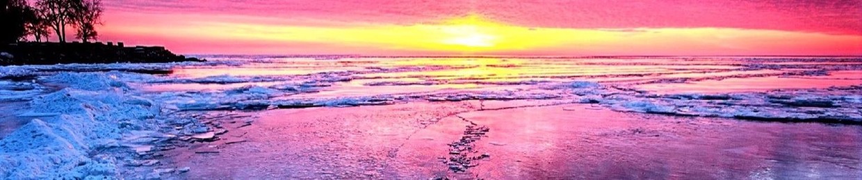 محمود المدنى