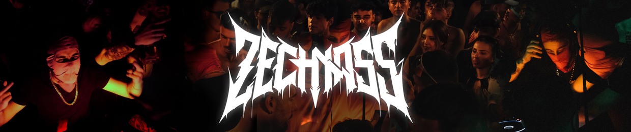 ZECHNASS