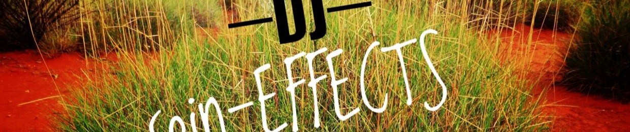 DJ SPIN EFFEX