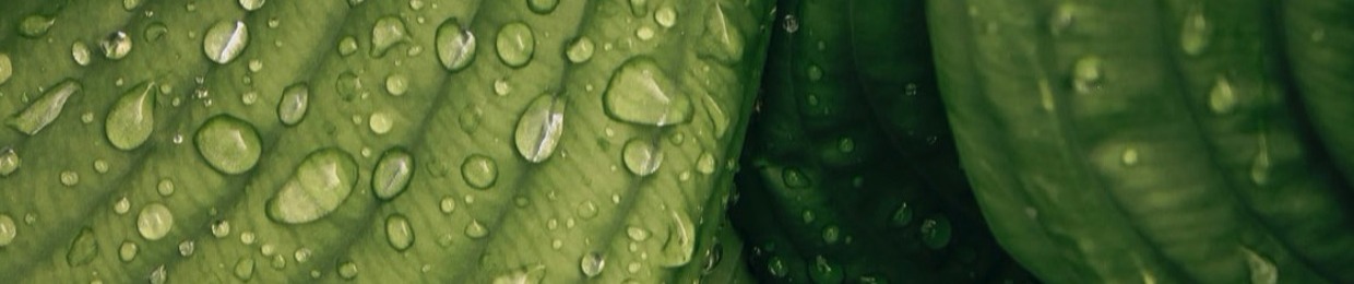 MelancholicFROLICK/Arielle