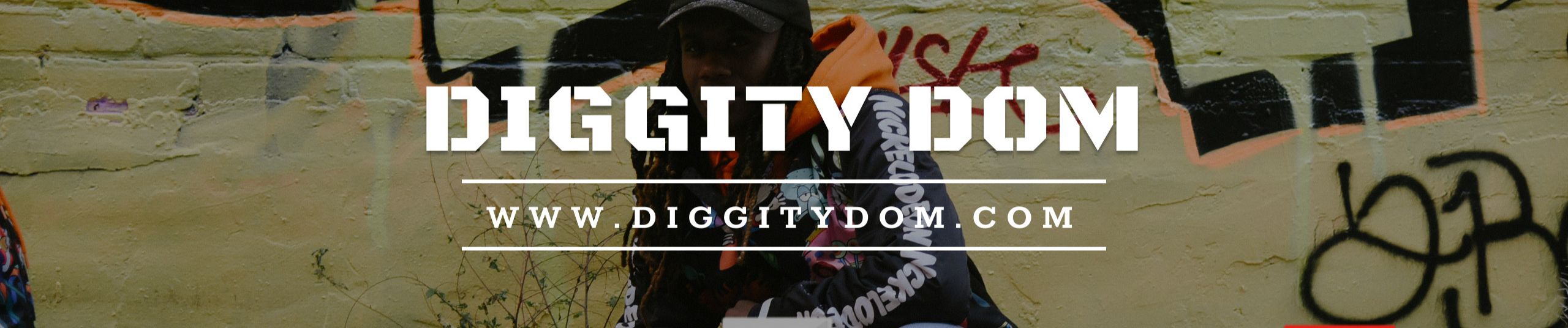 Fuck The Police Remix Nwa Prod By Diggity Dom Lyrics By Vision Tha Dreamer By Diggity Dom