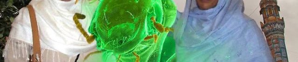 jangali जंगली