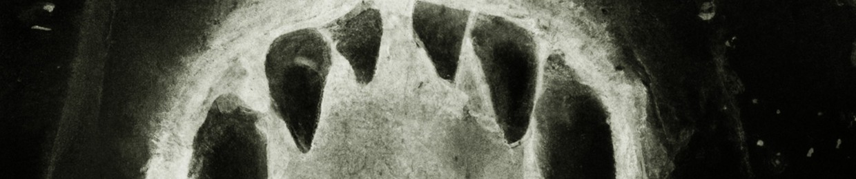 Orhidee