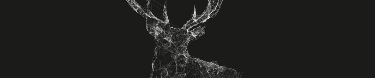 Insane Ɲetwork 🔥