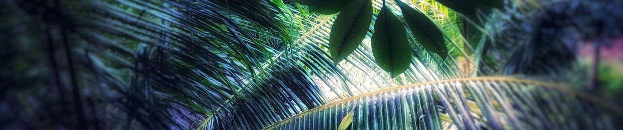 Echo and Rauschen | ° One with the Nature