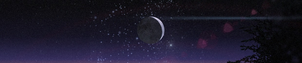 The Night