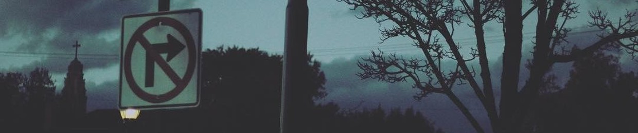 ‧͙⁺˚*･༓☾ vermin! ☽༓･*˚⁺‧͙