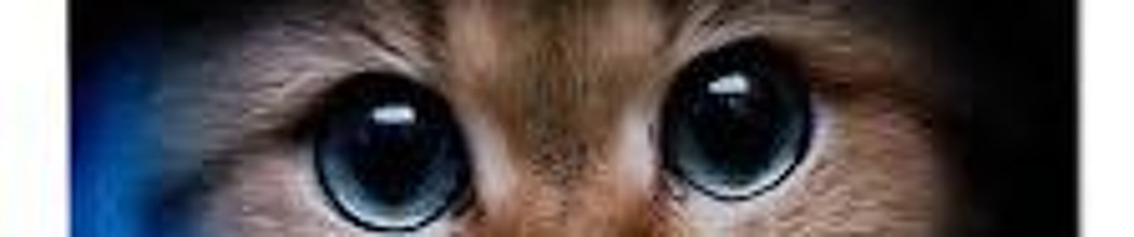 TheGamerCats