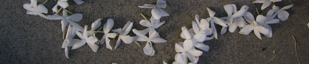 R. khalil