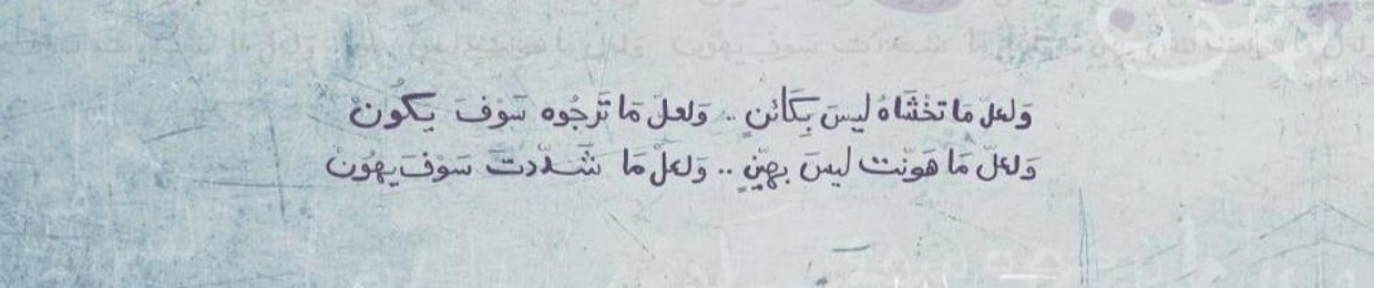 Mohamed Saber