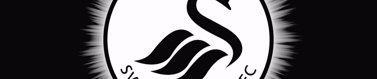 Swansea Till I Die