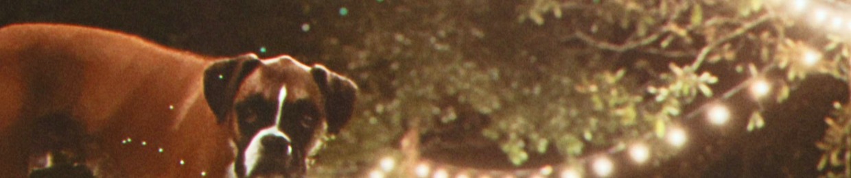 ‎preston woolsey