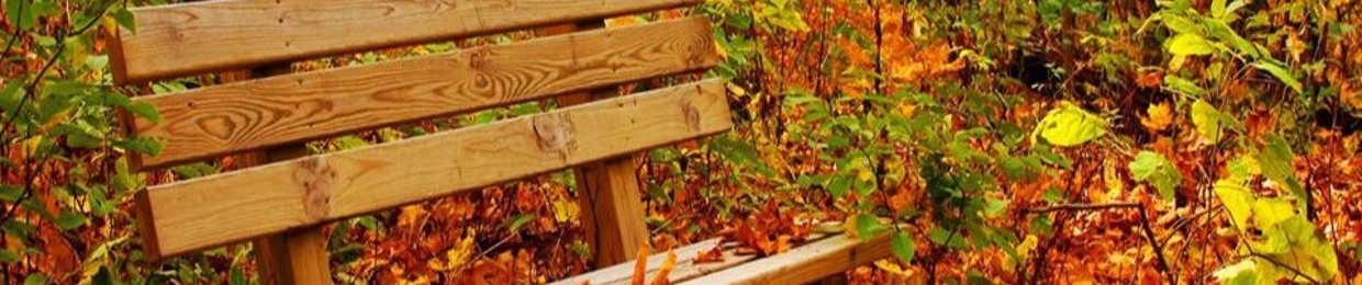 هيا العجاوي