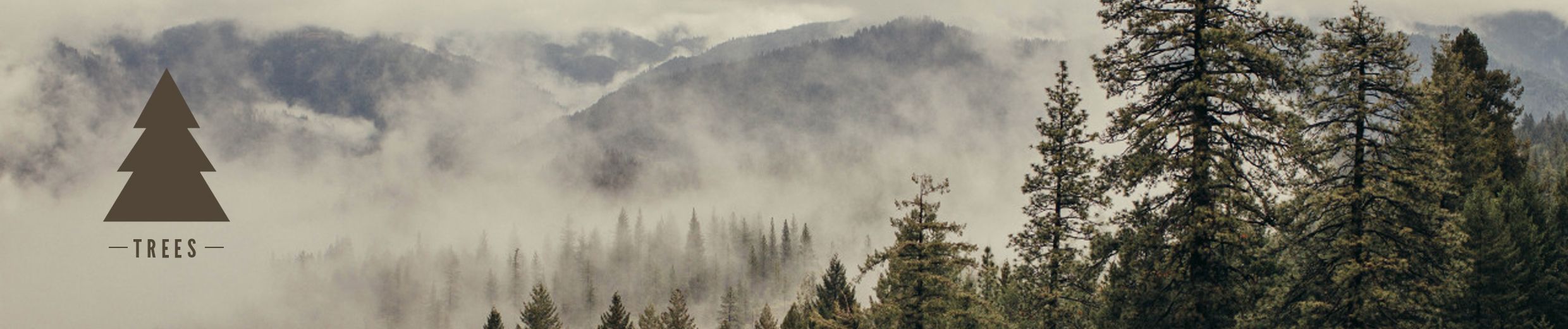 SoundCloud banner for @trees