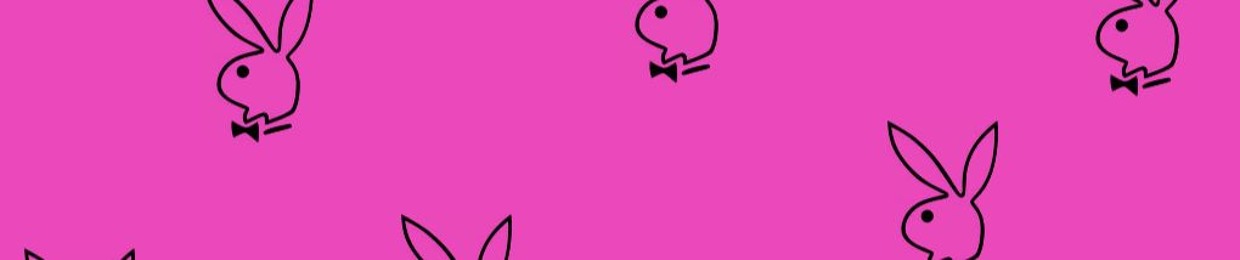 Dysco Bunny