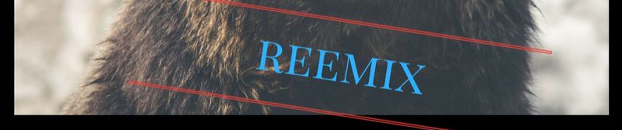 Reemix