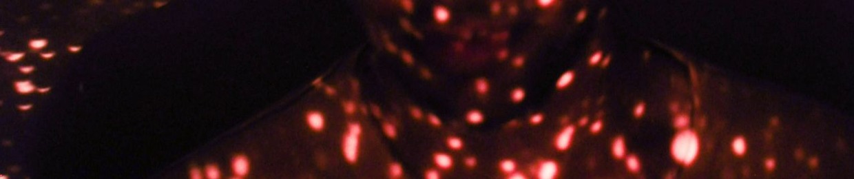 𝘤𝘰𝘮𝘰 𝘲𝘶𝘪𝘦𝘳𝘢𝘴