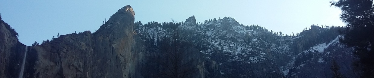 The Whisper in the Night