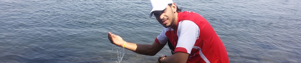 عمرو يونس المصرى