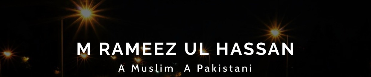 M Rameez Ul Hassan