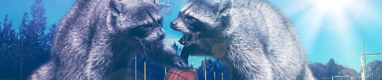 The Stretch Four Basketball Podcast