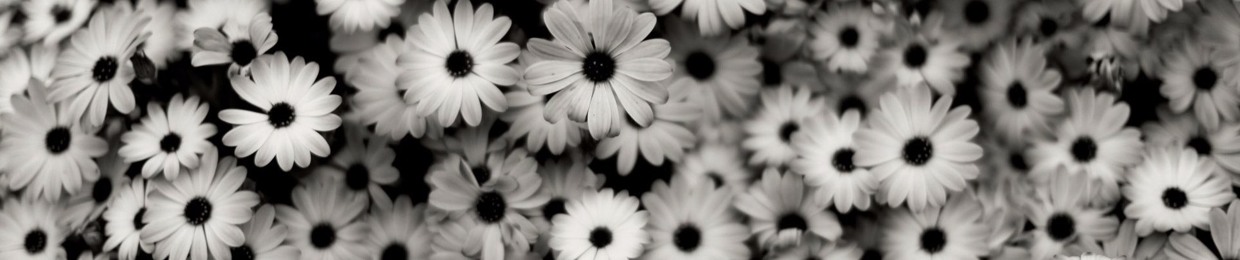 iwritesinsnotphanfics