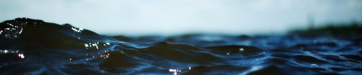 Leon Is Under Water