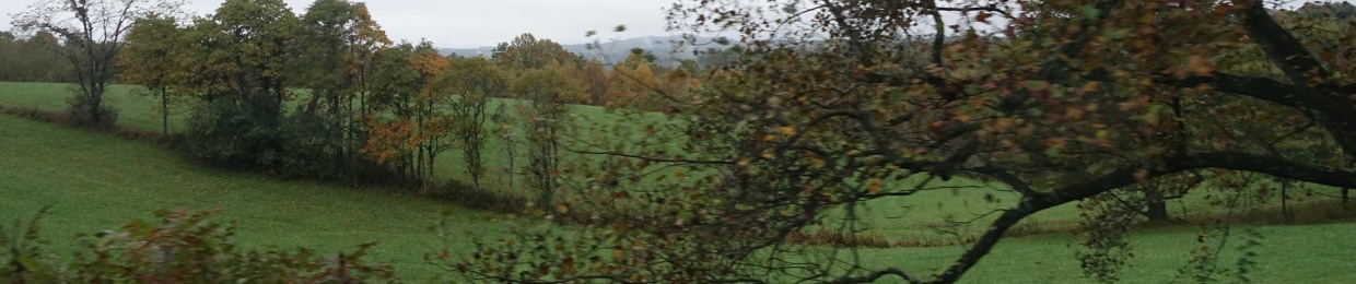 invirginia