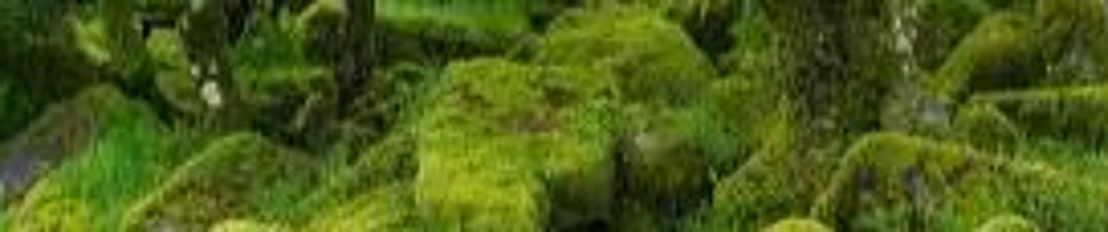Moss_Worldly