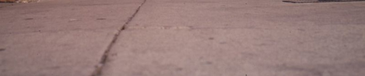 Hobocam