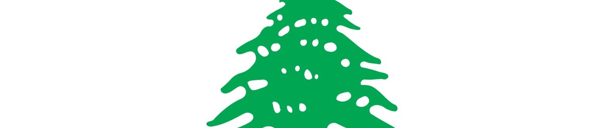 BRIGI
