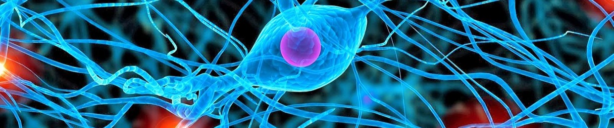 NeuroElectro Inc.