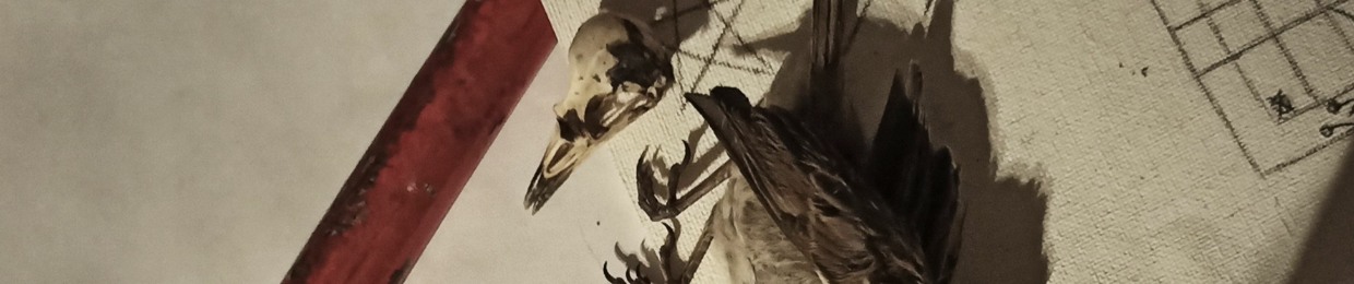lobotomy gone wrong