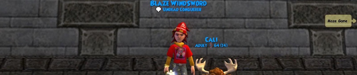 blazewindsword