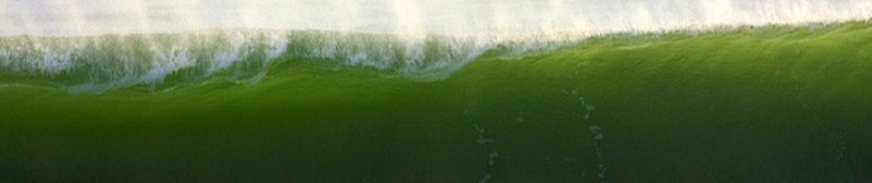 Wasser Schaden