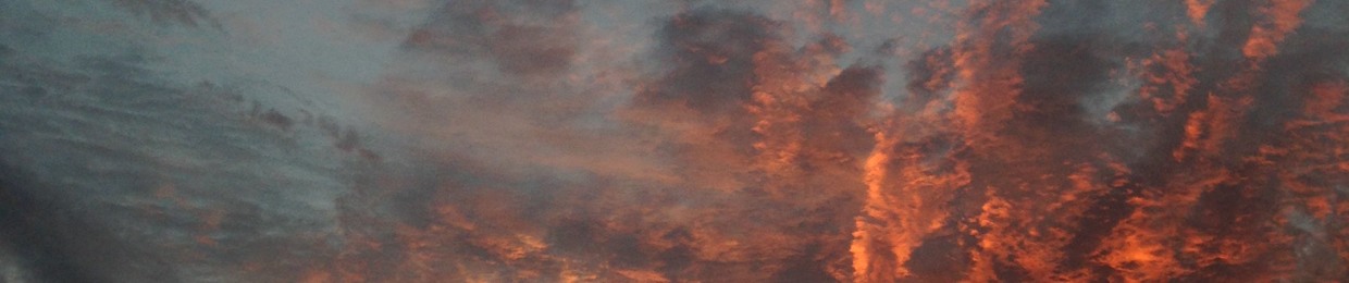 Lutonomous