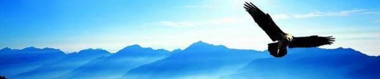 Chien Cheng (kevinlu777)