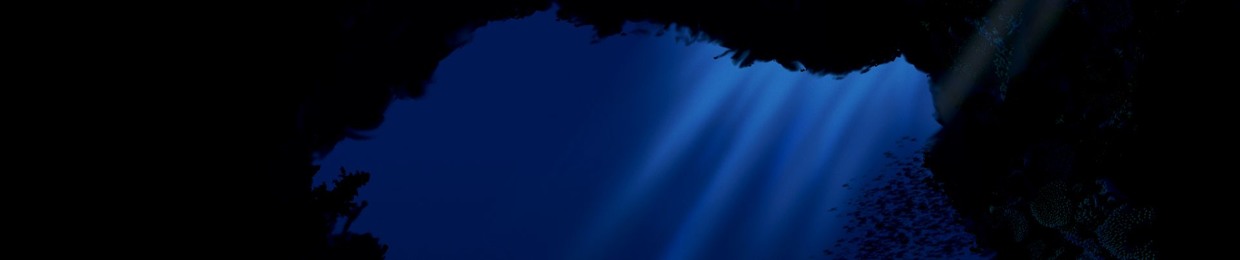 The Deep Layer