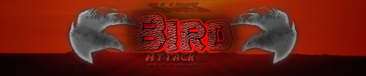 Bird Attack